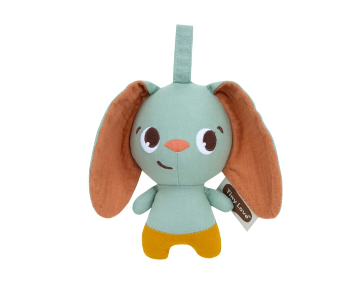 3333111921_2024_Tinylove_Smart_Bunny