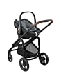 1919750110_2021_maxicosi_stroller_plazaplus_essentialgraphite_3qrtleft_pebble360