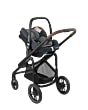 1919750110_2021_maxicosi_stroller_plazaplus_essentialgraphite_3qrtleft_tinca