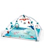 3333120704_tinylove_activitygym_treasuretheocean_2in1musicalmobilegymini