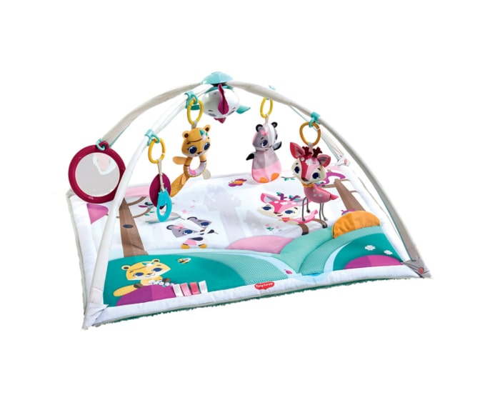 3333120554_tinylove_activitygym_tinyprincesstales_gyminideluxe