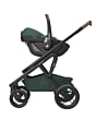 1954047110_2022_maxicosi_stroller_Lilaxpplus_essentialgreen_side_pebble360